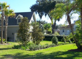 Landscaping Lakeland FL